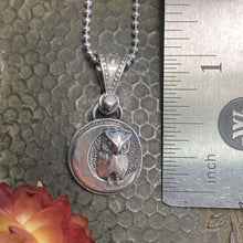 Load image into Gallery viewer, Owl &amp; The Moon Necklace